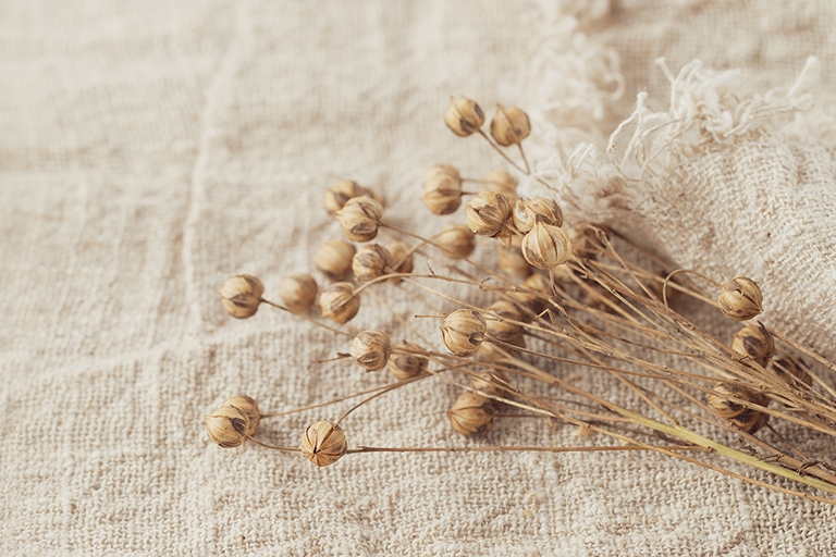 Waarom is een vlaskist duurzaam?